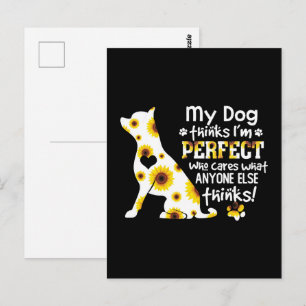 Chihuahua My Dog Thinks I'm Perfect Who Cares What Postcard