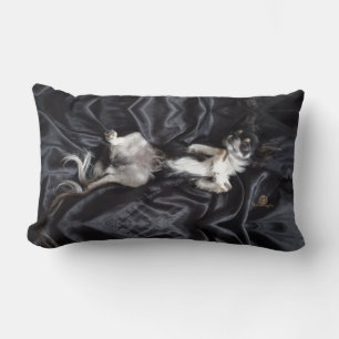 Chihuahua on Black Silk Lumbar Cushion