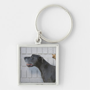 Chihuahua on Great Dane's back Key Ring