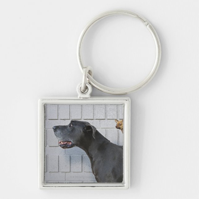 Chihuahua on Great Dane's back Key Ring (Front)