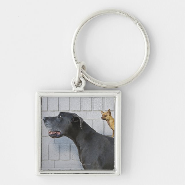 Chihuahua on Great Dane's back Key Ring (Front)