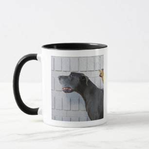 Chihuahua on Great Dane's back Mug