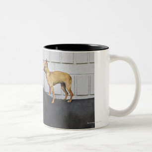 Chihuahua on Great Dane's back Two-Tone Coffee Mug
