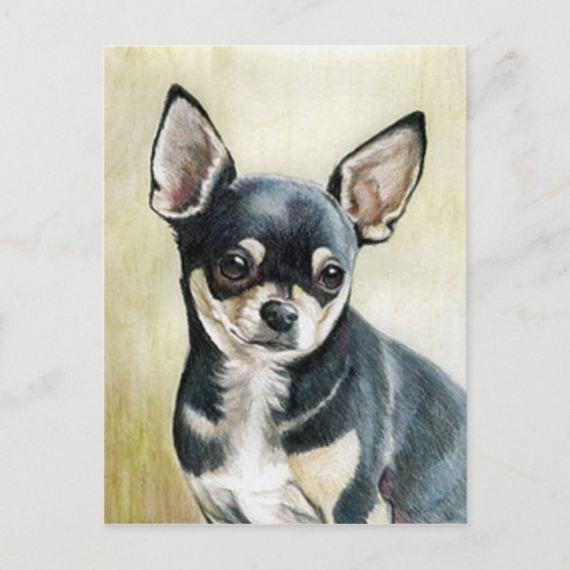 Chihuahua Original Art Postcard (Front)