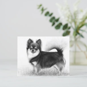 Chihuahua - Original Fine Art Postcard