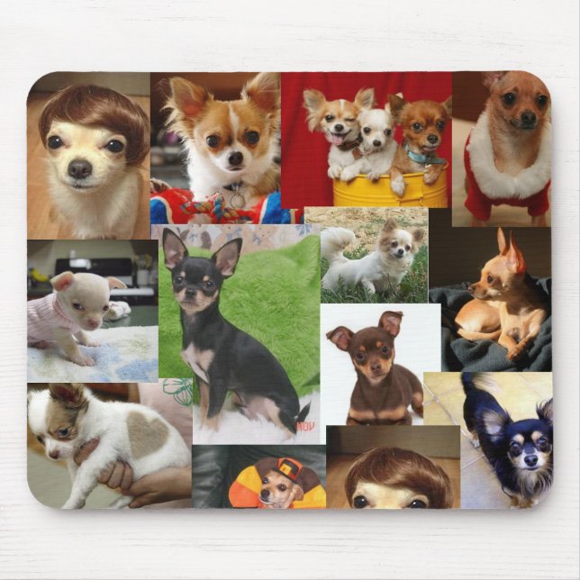 chihuahua pad mouse pad (Front)