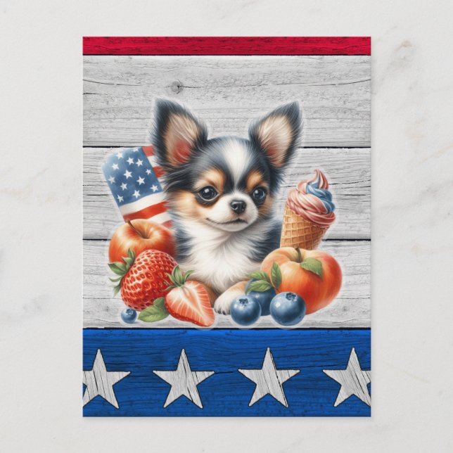 Chihuahua Patriotic Fruit USA Long Hair Chihuahua Postcard (Front)