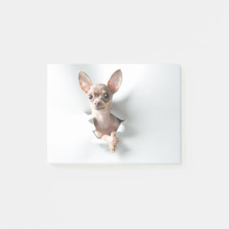 Chihuahua Post-it Notes