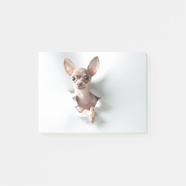 Chihuahua Post-it Notes (Front)