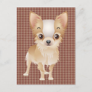 chihuahua postcard