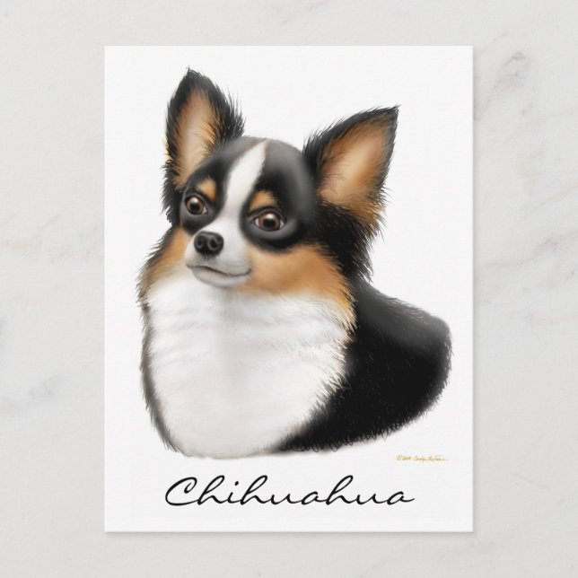 Chihuahua Postcard (Front)