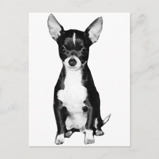 Chihuahua Postcard