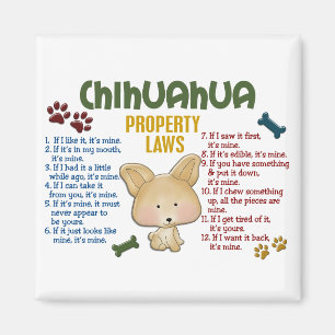 Chihuahua Property Laws 4 Magnet