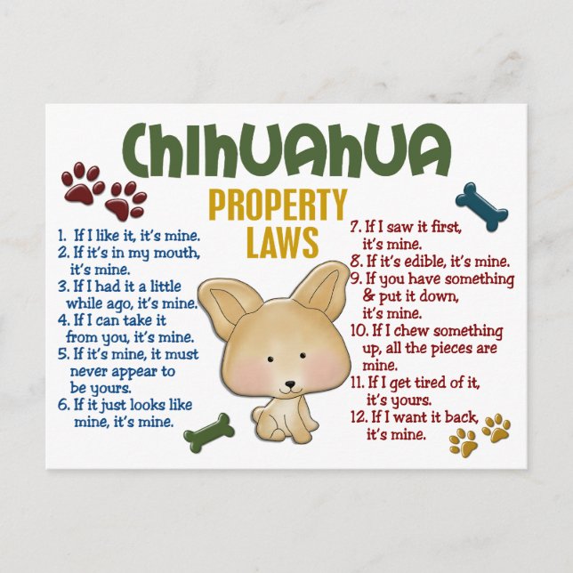 Chihuahua Property Laws 4 Postcard (Front)