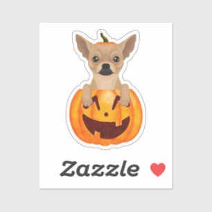 Chihuahua Pumpkin  Sticker