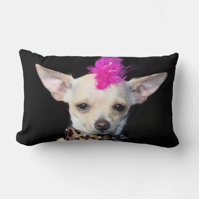 Chihuahua punk dog American Mojo lumbar  pillow (Front)