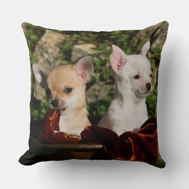 Chihuahua Puppies Cushion (Front)