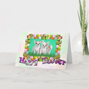 Chihuahua puppies Easter card