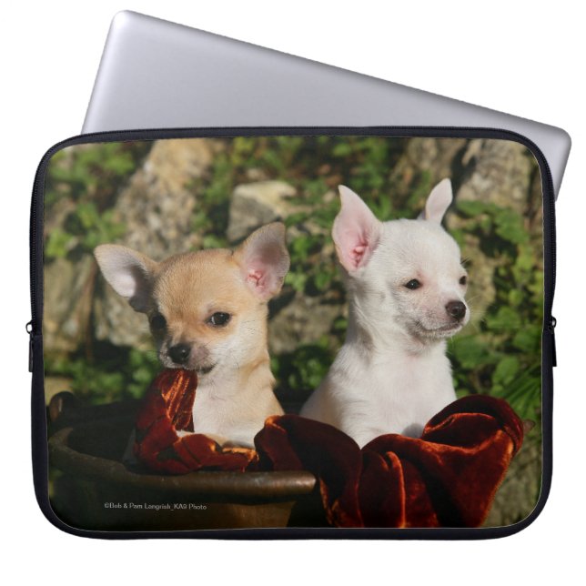 Chihuahua Puppies Laptop Sleeve (Front)
