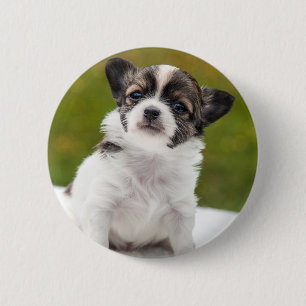 Chihuahua Puppy 6 Cm Round Badge