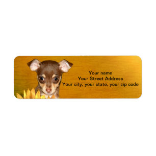 Chihuahua puppy and sunflowers return address label