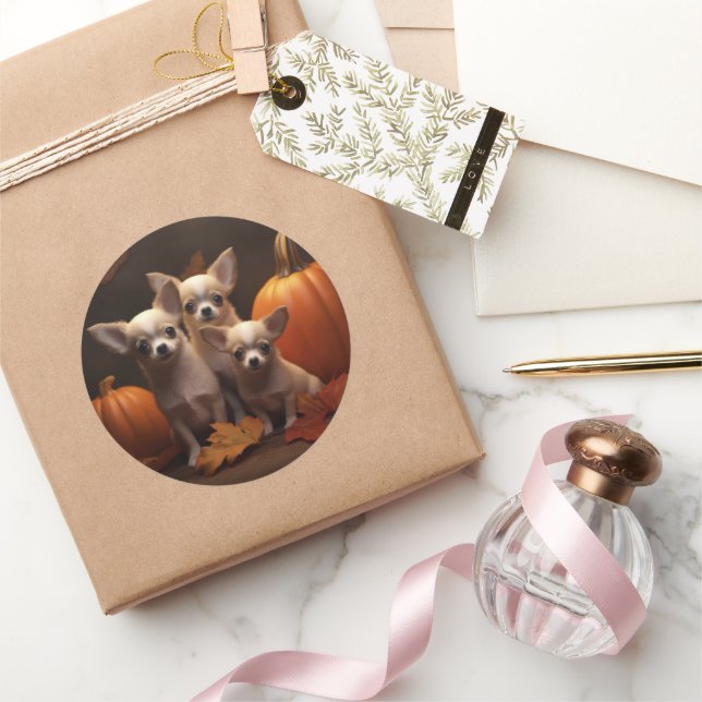 Chihuahua Puppy Autumn Delight Pumpkin  Classic Round Sticker (Gifting)