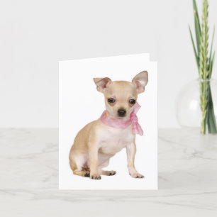 Chihuahua Puppy Dog Blank Note or Greeting Card