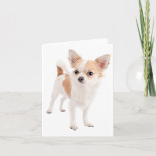 Chihuahua Puppy Dog Blank Notecard