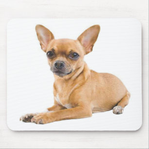 Chihuahua Puppy Dog Canine Mouse Pad