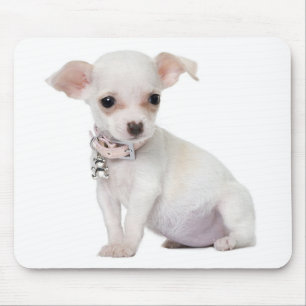Chihuahua  Puppy Dog Computer Mousepad
