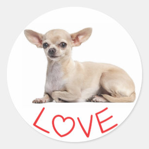 Chihuahua Puppy Dog Fuchsia Red Heart Love Classic Round Sticker