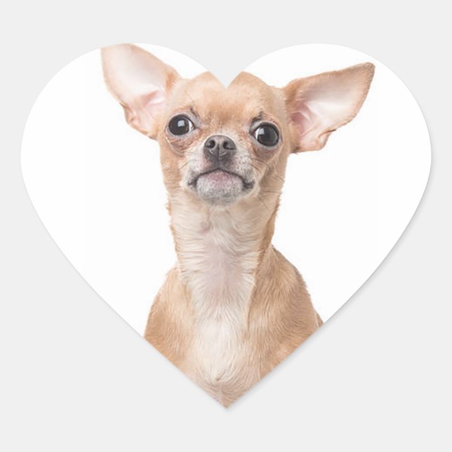 Chihuahua Puppy Dog Heart Heart Sticker (Front)
