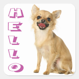 Chihuahua Puppy Dog Hello Stickers / Seals