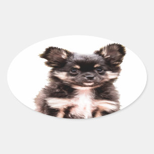 Chihuahua Puppy Dog Oval Sticker