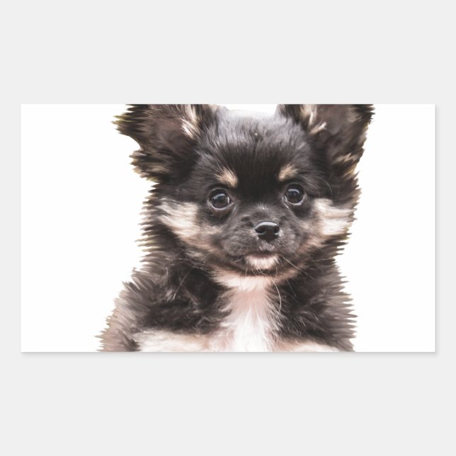 Chihuahua Puppy Dog Rectangular Sticker (Front)