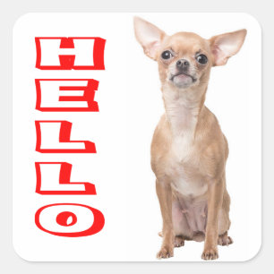 Chihuahua Puppy Dog Red Hello Square Sticker