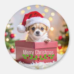 Chihuahua Puppy Dog's Christmas Magnet
