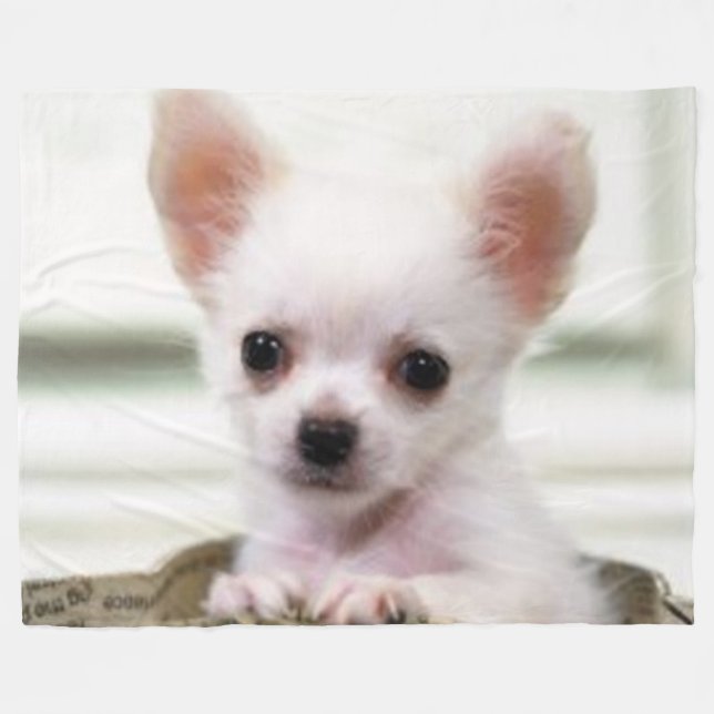 CHIHUAHUA PUPPY FLEECE BLANKET (Front (Horizontal))
