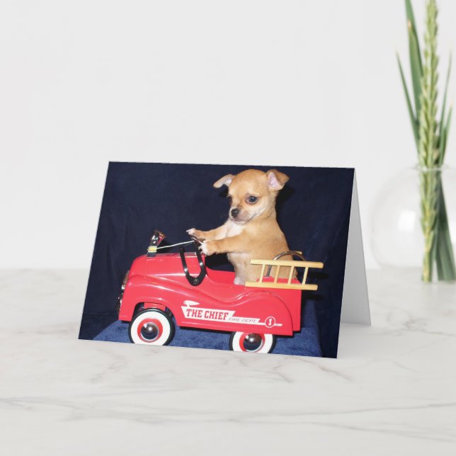 Chihuahua puppy greeting card (Front)