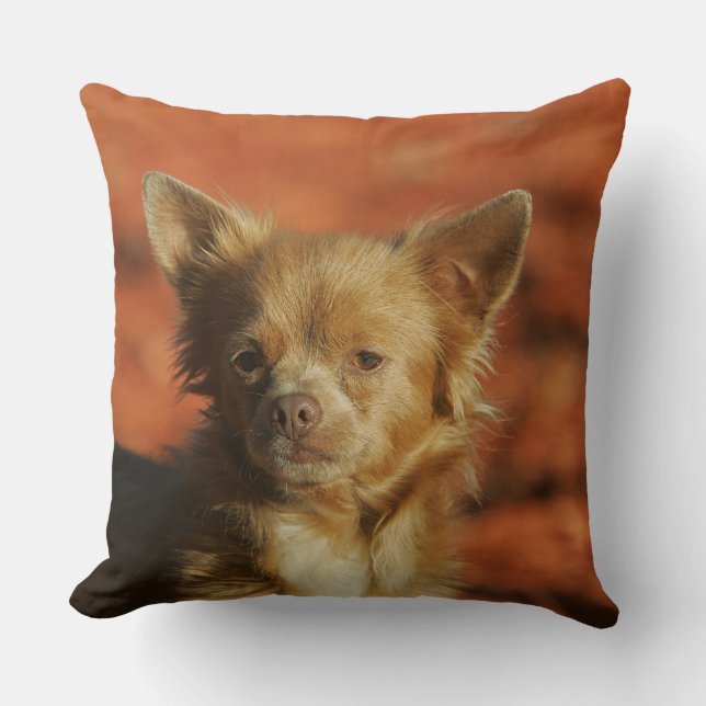 Chihuahua Puppy Headshot Cushion (Front)