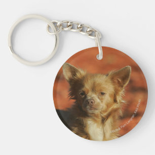 Chihuahua Puppy Headshot Key Ring