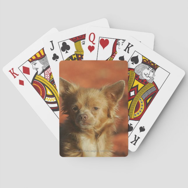 Chihuahua Puppy Headshot Playing Cards (Back)