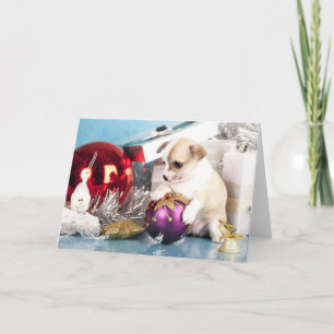 Chihuahua puppy holding Christmas Ball Holiday Card