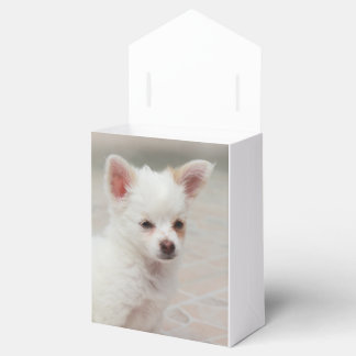Chihuahua puppy in a garden favour box
