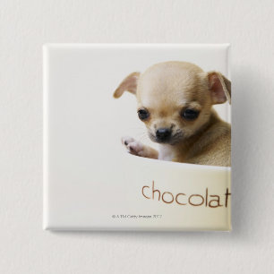Chihuahua puppy in bowl (cropped) 15 cm square badge