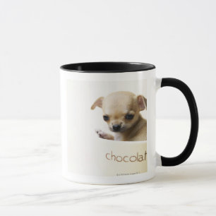 Chihuahua puppy in bowl (cropped) mug