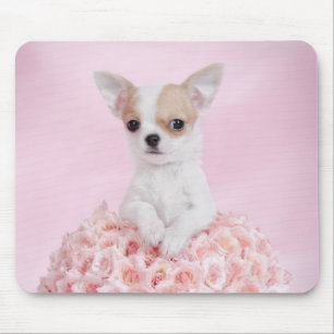 Chihuahua puppy mouse pad