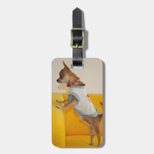 Chihuahua Puppy On Yellow Sofa Luggage Tag