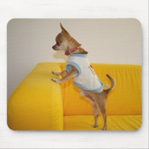 Chihuahua Puppy On Yellow Sofa Mouse Pad