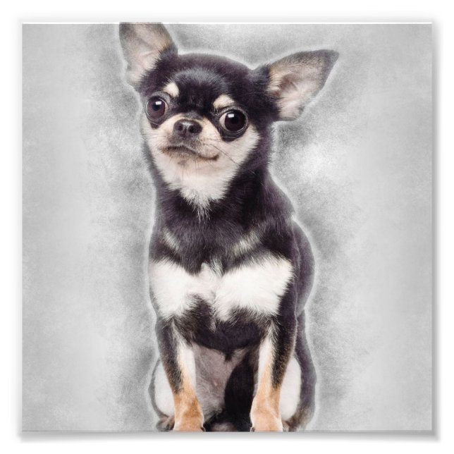 Chihuahua Puppy Sitting | Cute Animal Decor Photo Print (Front)